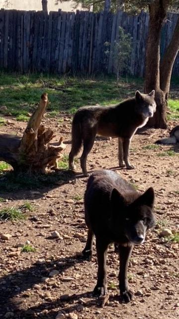 Les Gites Du Parc Animalier De Ginasservis מראה חיצוני תמונה